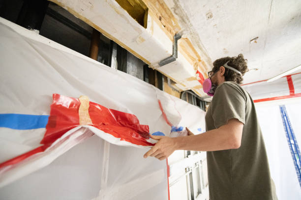 Trusted Greenfield, MN Mold Removal Experts
