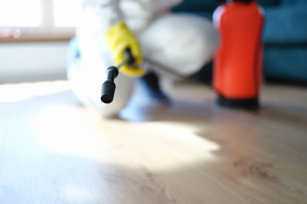Best Basement Mold Removal  in Greenfield, MN